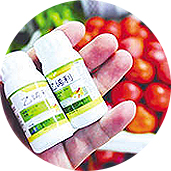 水果催熟系列產品